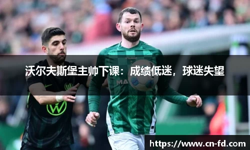 55世纪网址