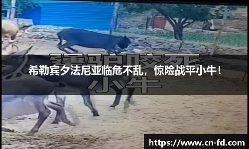 55世纪注册